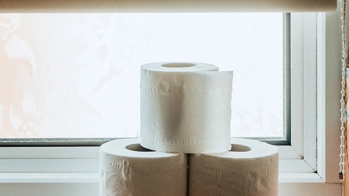 Rolls of toilet paper stacked on a bright bathroom windowsill
